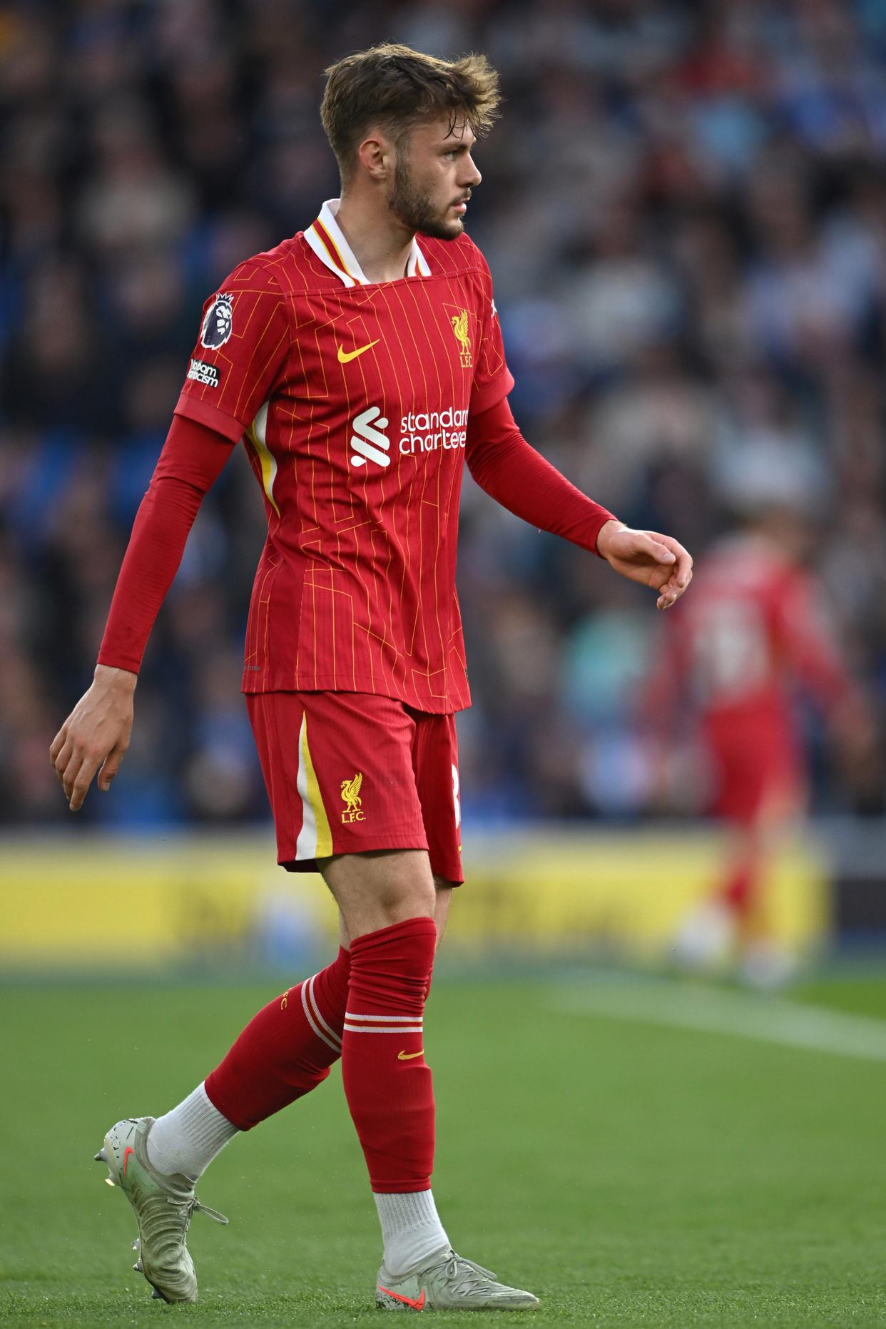 转会期英超焦点战，布莱顿更衣室发声，压力陡增，临场指挥获称赞的简单介绍